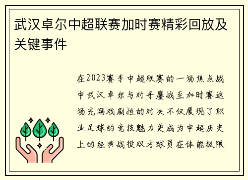 武汉卓尔中超联赛加时赛精彩回放及关键事件